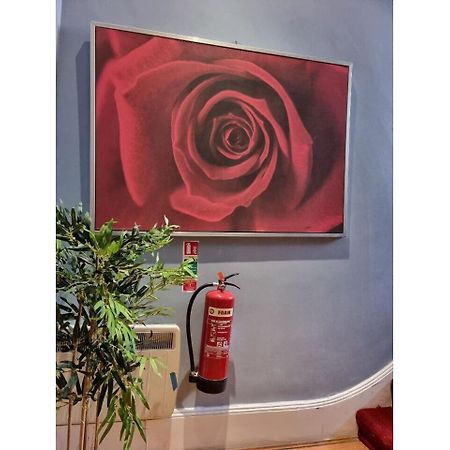 F304-Lovely 3Rd Flr Studio Fits 2 Near Hyde Park Λονδίνο Εξωτερικό φωτογραφία